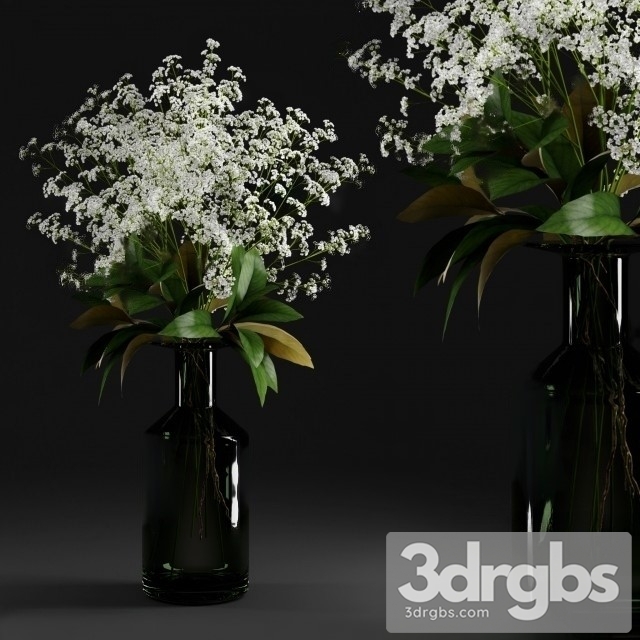 Gypsophila Magnolia Leaves Bottle 3dsmax Download - thumbnail 1