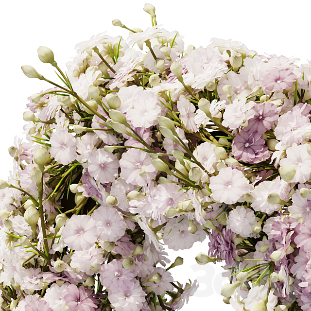 gypsophila wreath 3ds Max - thumbnail 3