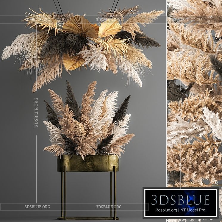 Hanging bouquet composition of dried flowers from pampas suspension dry palm leaf. 188. 3DS Max - thumbnail 3