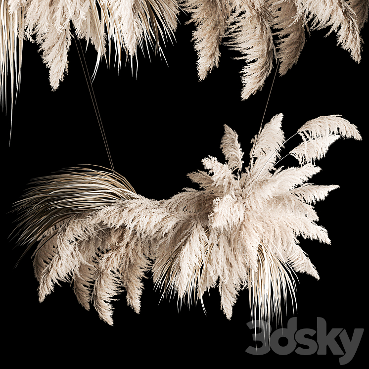 Hanging bouquet installation of white reeds dried flower from pampas grass reed Cortaderia. 260. 3DS Max Model - thumbnail 2
