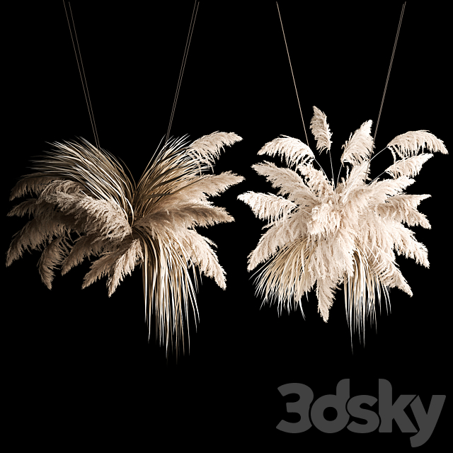 Hanging bouquet installation of white reeds dried flower from pampas grass. reed. Cortaderia. 261 3DSMax File - thumbnail 1