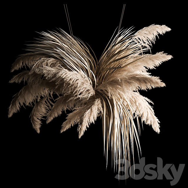 Hanging bouquet installation of white reeds dried flower from pampas grass. reed. Cortaderia. 261 3DSMax File - thumbnail 2