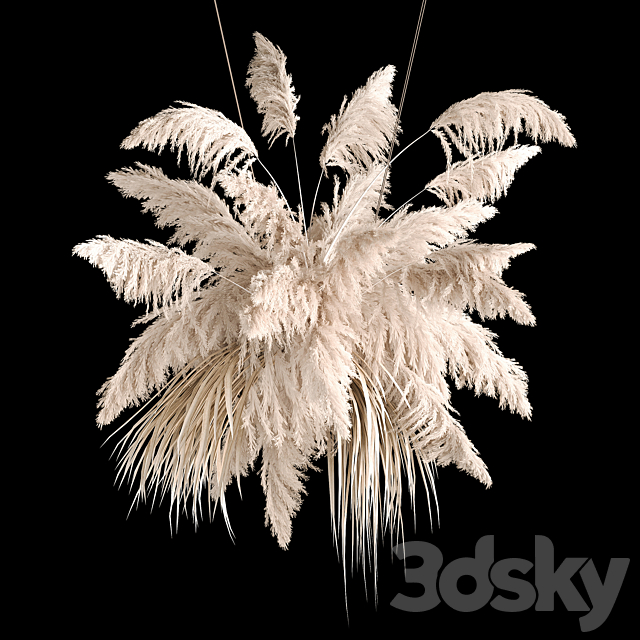 Hanging bouquet installation of white reeds dried flower from pampas grass. reed. Cortaderia. 261 3DSMax File - thumbnail 3