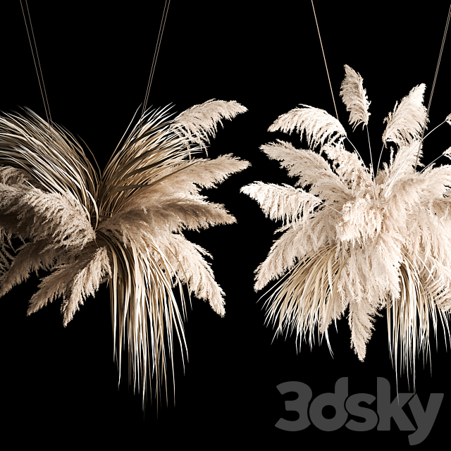 Hanging bouquet installation of white reeds dried flower from pampas grass. reed. Cortaderia. 261 3DSMax File - thumbnail 4