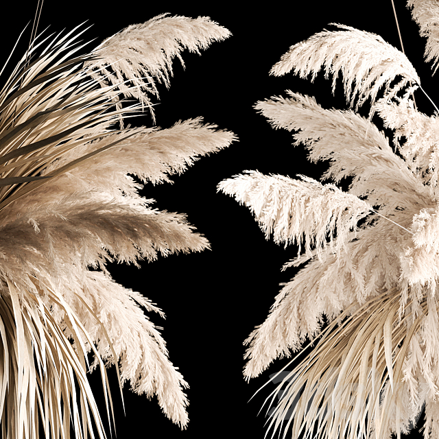 Hanging bouquet installation of white reeds dried flower from pampas grass. reed. Cortaderia. 261 3DSMax File - thumbnail 5