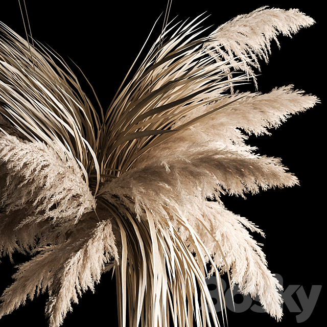 Hanging bouquet of dry reeds and pampas grass for decoration and interior. 266. 3ds Max - thumbnail 3