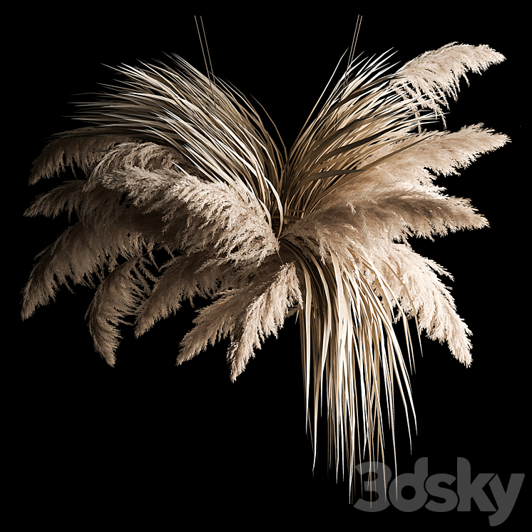 Hanging bouquet of dry reeds and pampas grass for decoration and interior. 266. 3DS Max - thumbnail 1