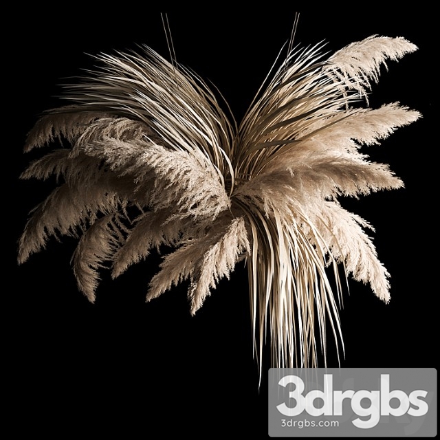 Hanging bouquet of dry reeds and pampas grass for decoration and interior. 266._1 - thumbnail 1