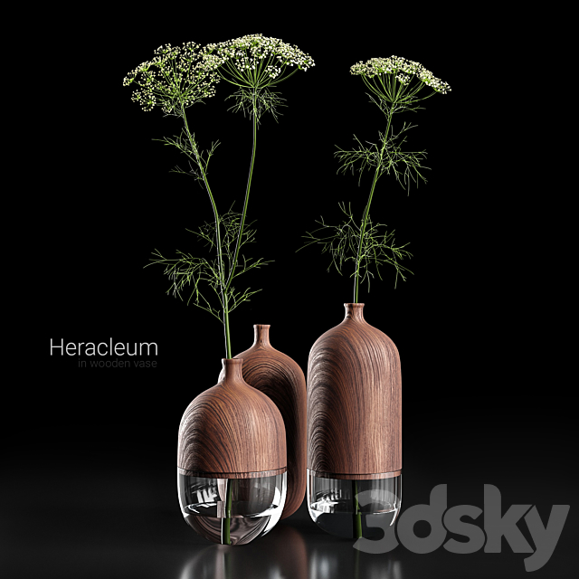 Heracleum in wooden vase 3DSMax File - thumbnail 1