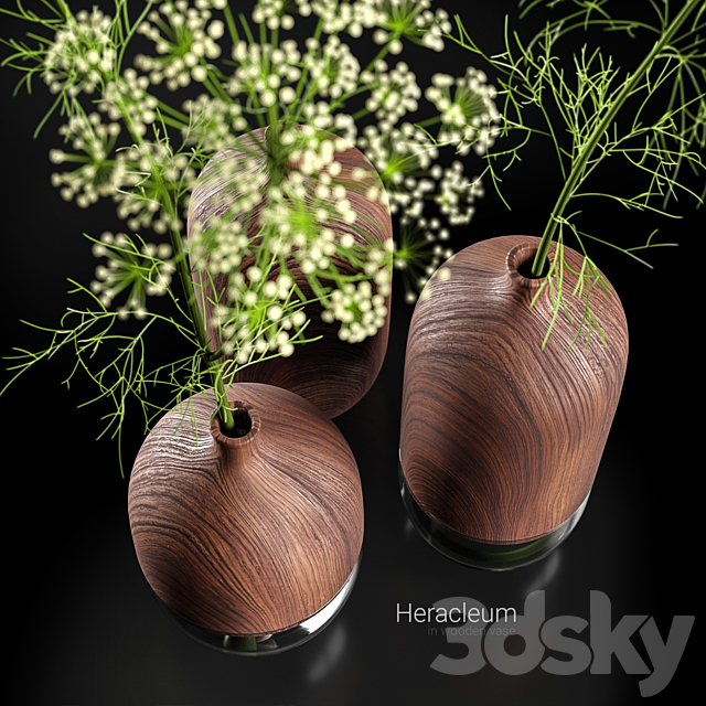 Heracleum in wooden vase 3DSMax File - thumbnail 2