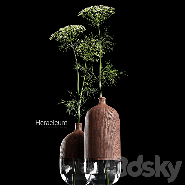 Heracleum in wooden vase 3DSMax File - thumbnail 3