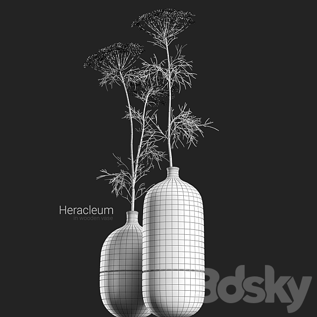 Heracleum in wooden vase 3DSMax File - thumbnail 4