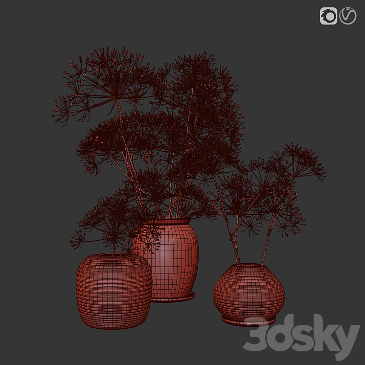 heracleum plant set 3DS Max Model - thumbnail 2