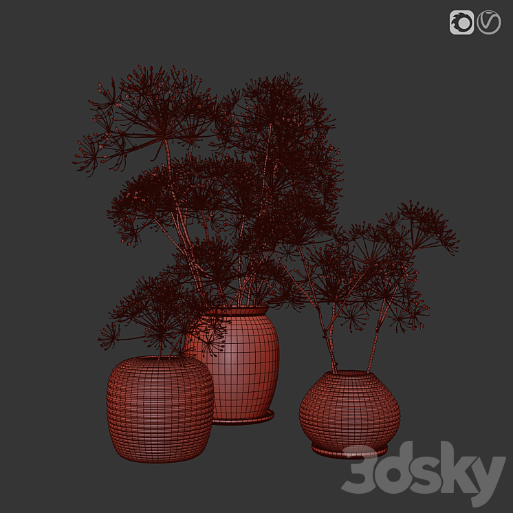 heracleum plant set 3DS Max - thumbnail 2