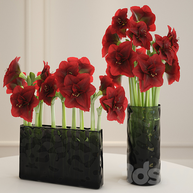 Hippeastrum arrangement 3ds Max - thumbnail 2