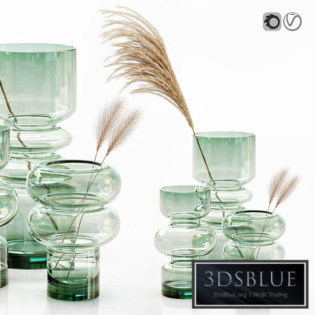 H&M glass vases with dried flower pampas grass 3DS Max - thumbnail 3