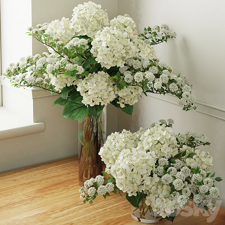 Hydrangea 2 3DS Max - thumbnail 1