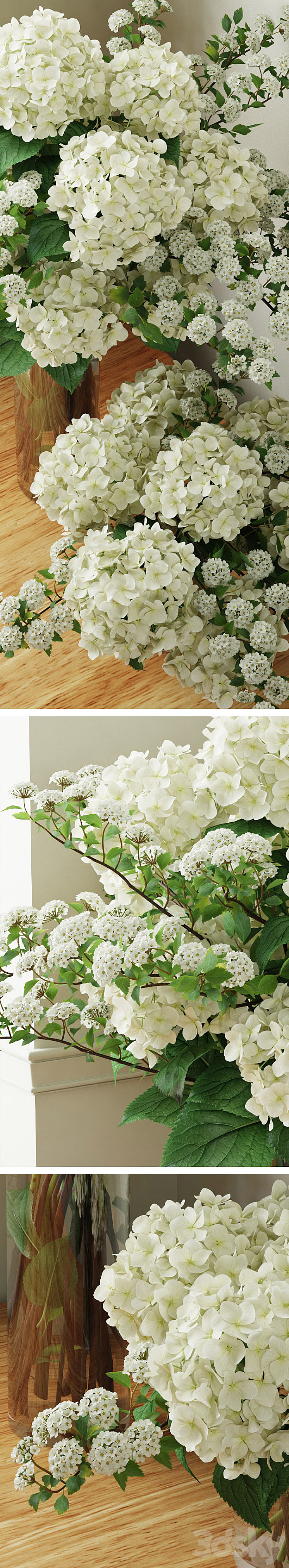 Hydrangea 2 3DS Max - thumbnail 2