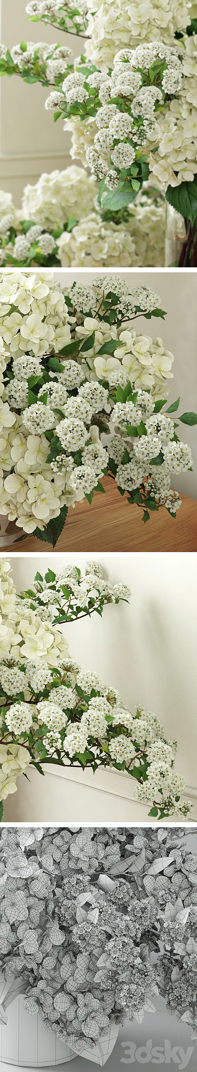 Hydrangea 2 3DSMax File - thumbnail 3