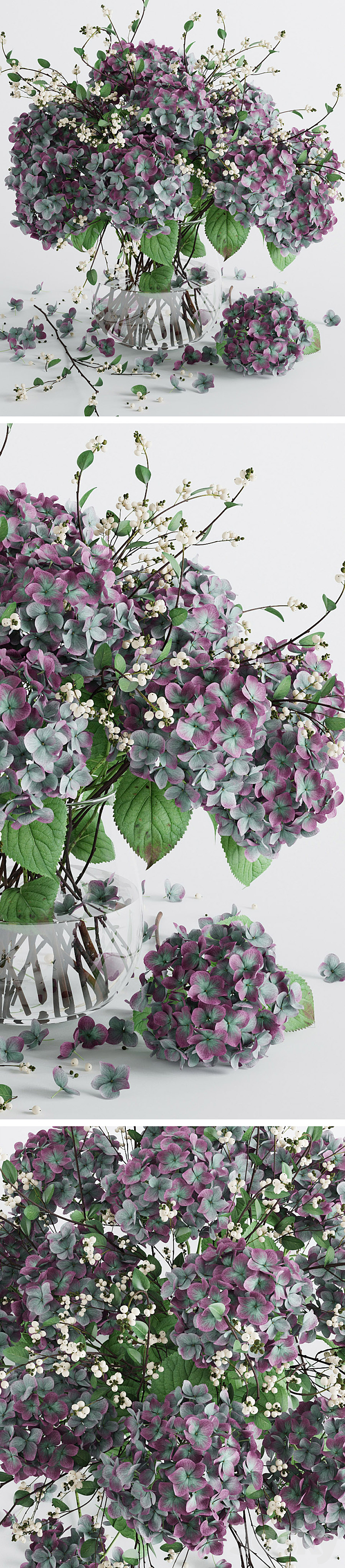 Hydrangea 3DS Max - thumbnail 2