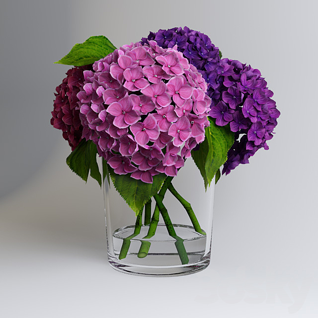 Hydrangea 3ds Max - thumbnail 1