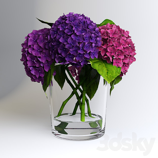 Hydrangea 3ds Max - thumbnail 2