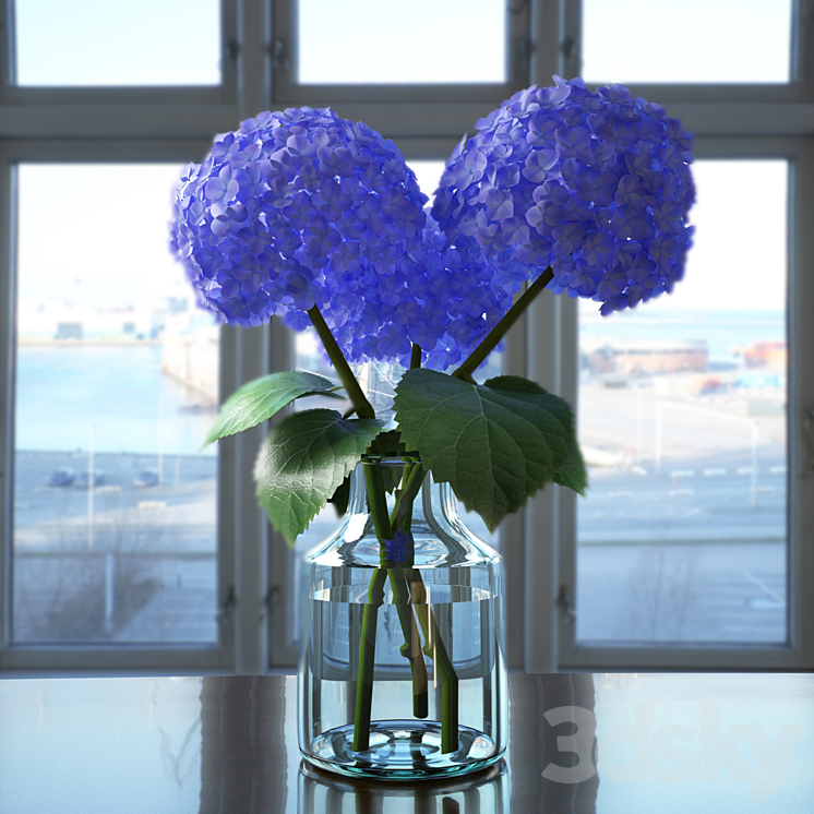 Hydrangea 3DS Max - thumbnail 1