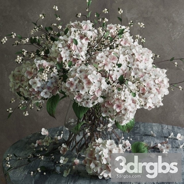 Hydrangea 3dsmax Download - thumbnail 1