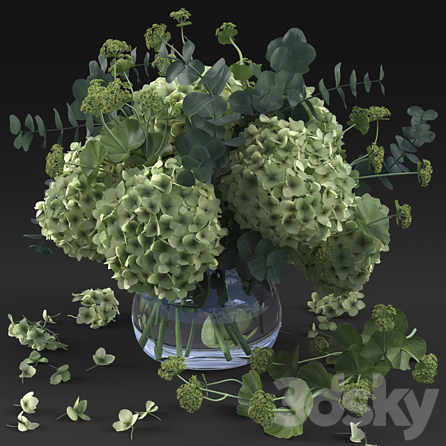 Hydrangea 3DSMax File - thumbnail 1