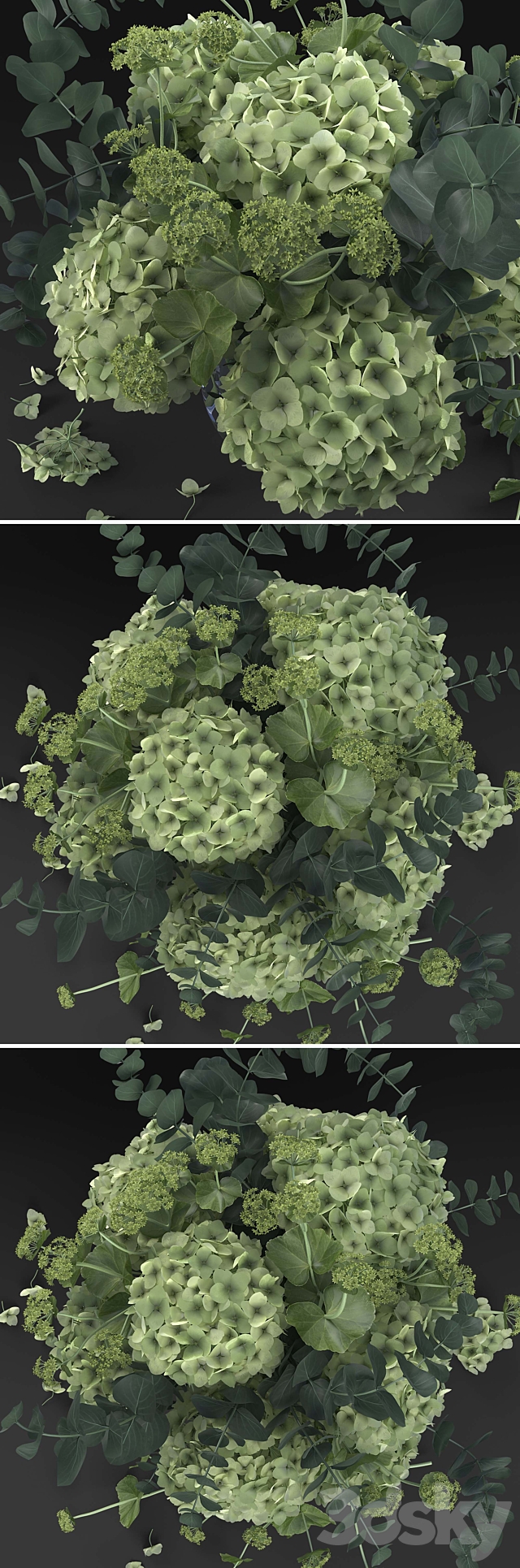 Hydrangea 3DSMax File - thumbnail 2