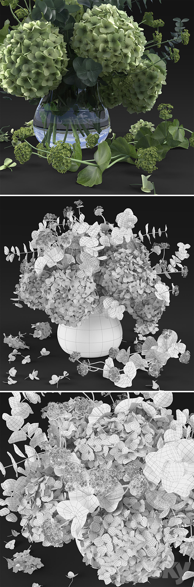 Hydrangea 3DSMax File - thumbnail 3