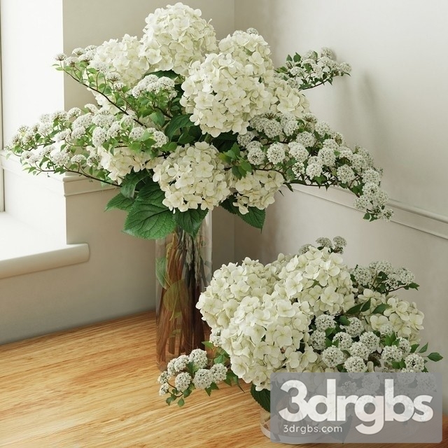 Hydrangea Bouquet 2 3dsmax Download - thumbnail 1