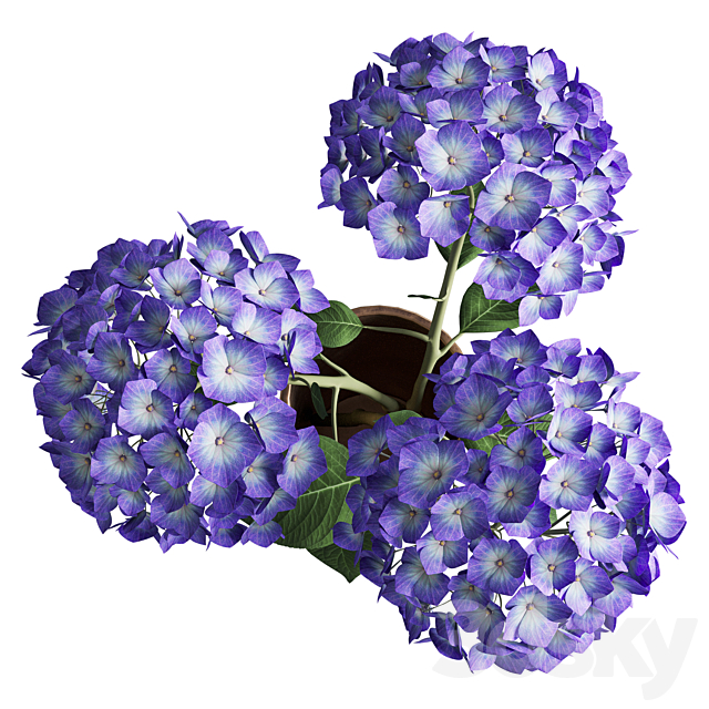 Hydrangea branches in a vase_02 3DS Max Model - thumbnail 2