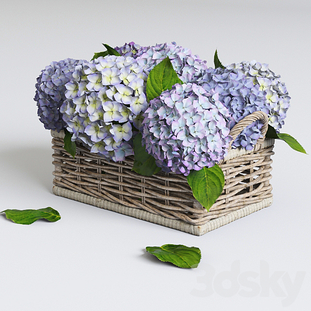 Hydrangea in basket 3DSMax File - thumbnail 1