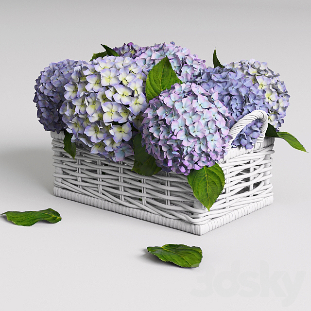 Hydrangea in basket 3DSMax File - thumbnail 2