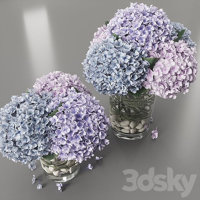 Hydrangea purple blue 3DS Max Model - thumbnail 2