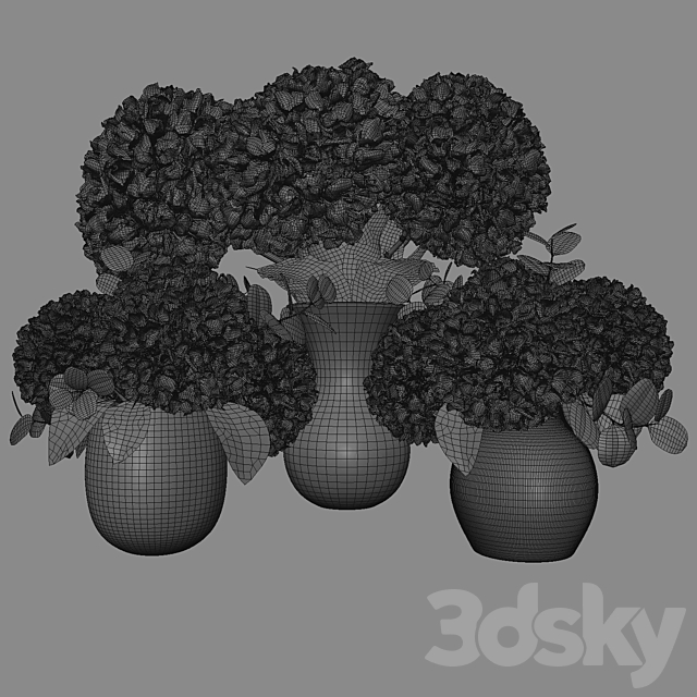 Hydrangea set 001 3DS Max Model - thumbnail 5