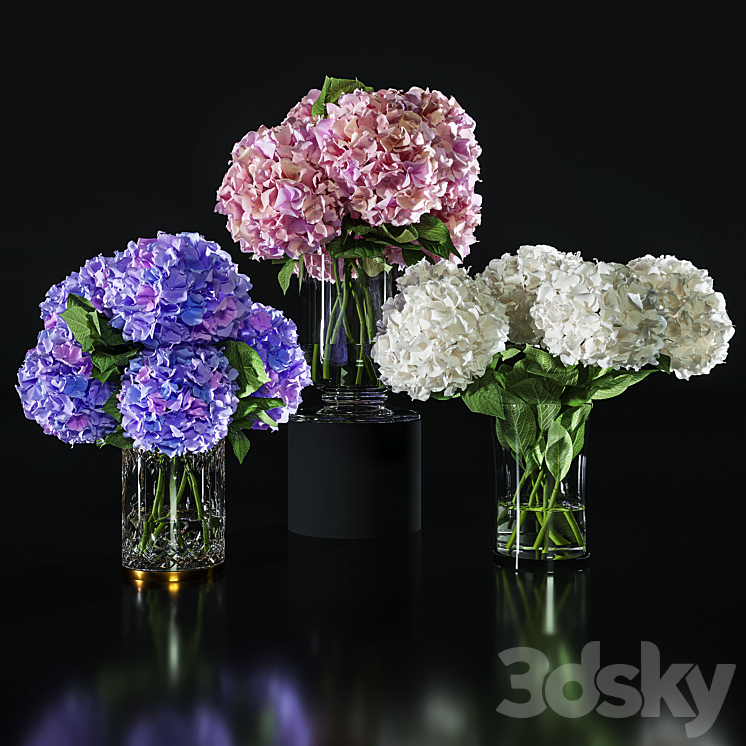 Hydrangea set 002 3DS Max Model - thumbnail 1