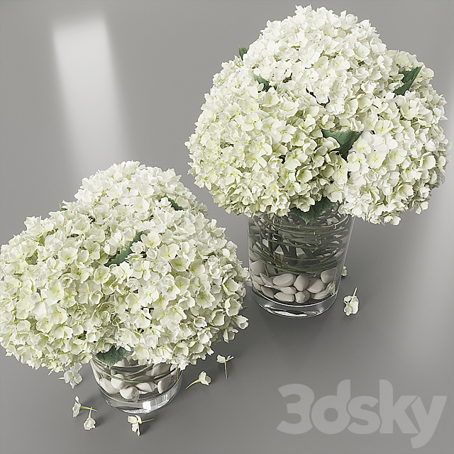 Hydrangea white 3DS Max Model - thumbnail 2