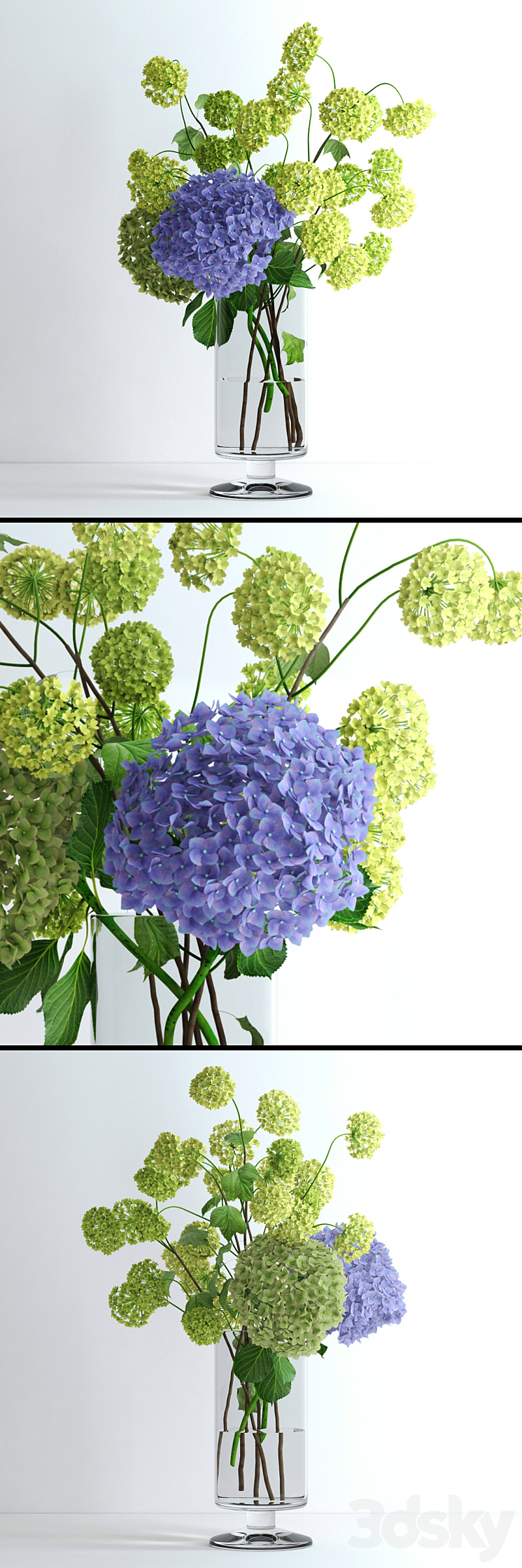 Hydrangeas and Viburnum 3DS Max - thumbnail 2