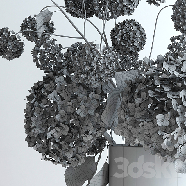 Hydrangeas and Viburnum 3DSMax File - thumbnail 3