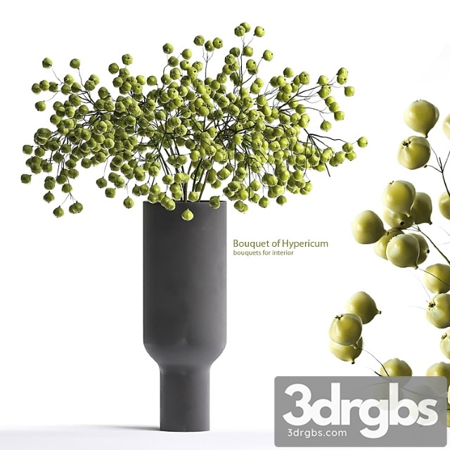 Hypericum Bouquet 3dsmax Download - thumbnail 1