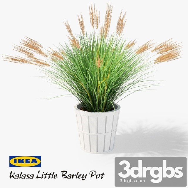 Ikea Kalasa Plant Pot And Little Barley 3dsmax Download - thumbnail 1