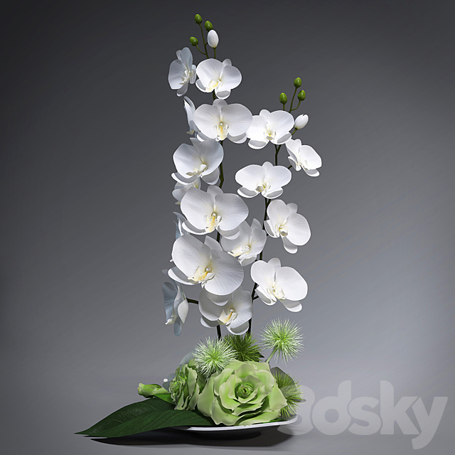 Ikebana with orchids 3DS Max Model - thumbnail 2