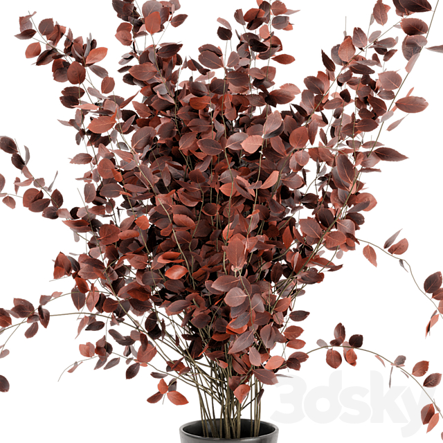 Indoor Dry Plants in rusty handmade Pots – Set 174 3DSMax File - thumbnail 6