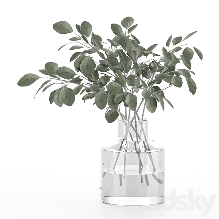 indoor eucalyptus plant in glass vase 3DS Max Model - thumbnail 1