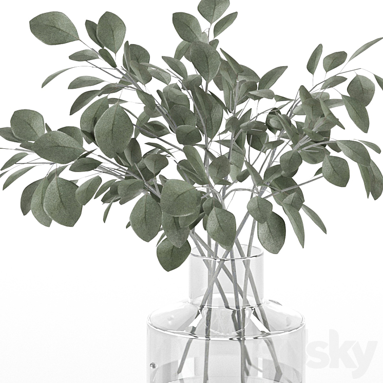 indoor eucalyptus plant in glass vase 3DS Max Model - thumbnail 2