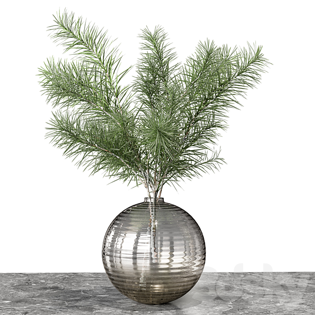 Indoor Plant 04 3DSMax File - thumbnail 4