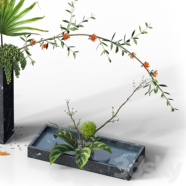 Indoor Plant Set 03 -three bouquets 3DSMax File - thumbnail 3