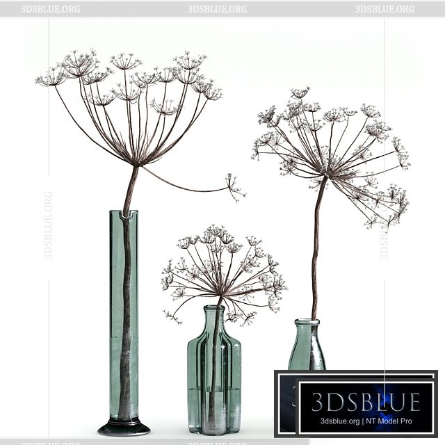 Indoor Plant Set 04-dry plants in glass vase 3DS Max - thumbnail 3